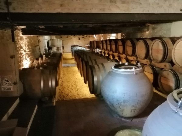 Le chai du domaine "Les Terres Blanches