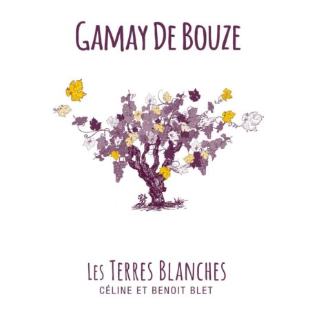 "Gamay de Bouze" issus du cépage homonyme et élaboré par le domaine "Les Terres Blanches" à Oiron dans la Loire